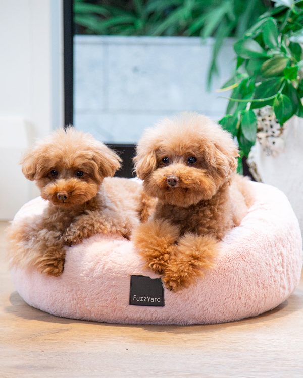 Dreameazzzy Lotus - Cama antiestrés para perros - vista 2