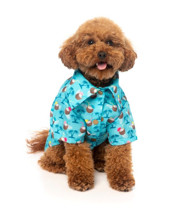 Camisa para perros - Blue Oasis - vista 2