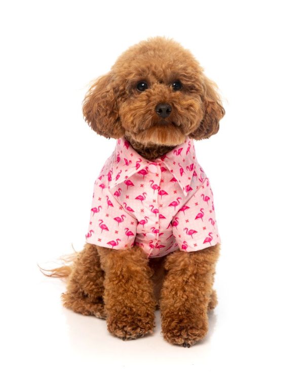 Camisa para perros - Fabboyant Camisa para perros - Fabboyant - vista 3