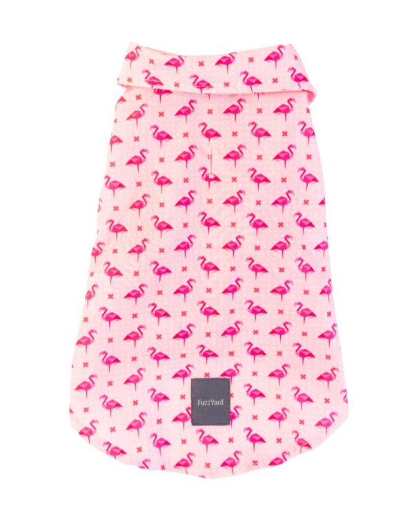 Camisa para perros - Fabboyant Camisa para perros - Fabboyant