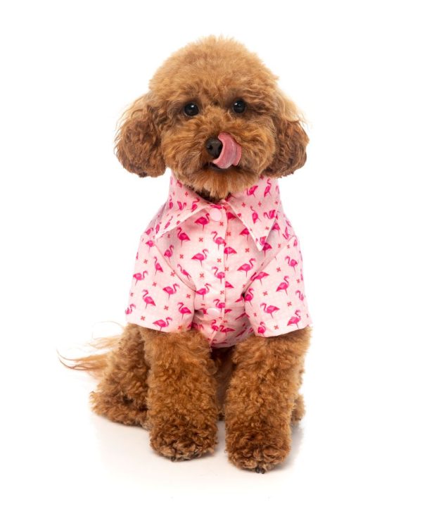 Camisa para perros - Fabboyant Camisa para perros - Fabboyant - vista 2