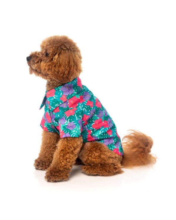 Camisa para perros - Lahania - vista 3