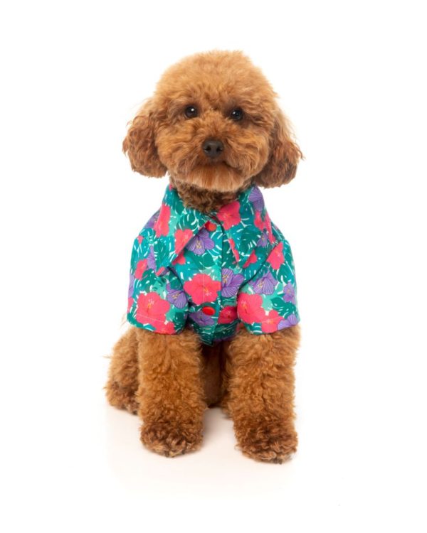 Camisa para perros - Lahania - vista 2
