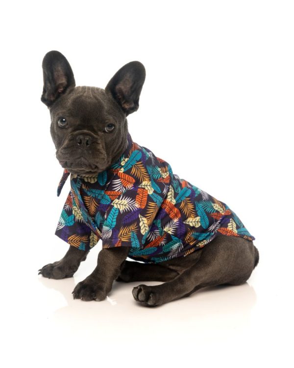 Camisa para perros - Mahalo Camisa para perros - Mahalo - vista 2