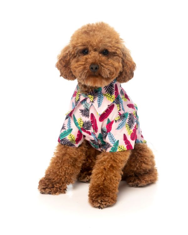 Camisa para perros - Ohana - vista 3