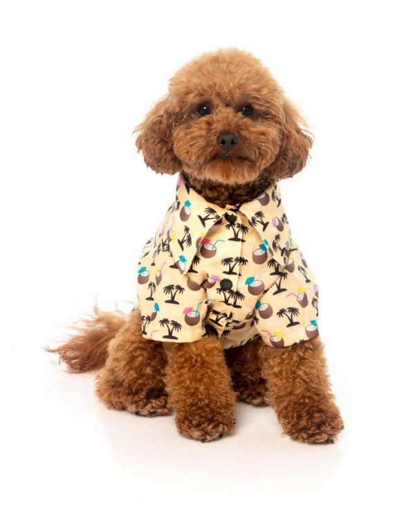 Camisa para perros - Sandy Coconut - vista 2