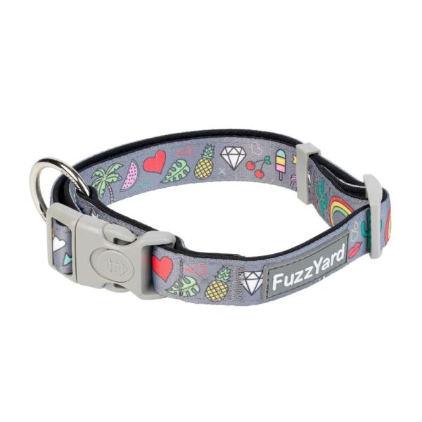 Coachella - Collar para perros