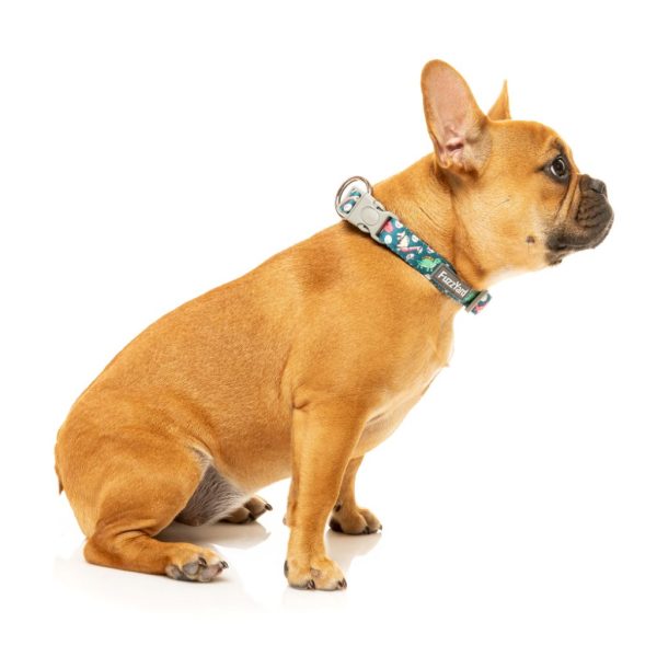 Dinosaur Land - Collar para perros - vista 3