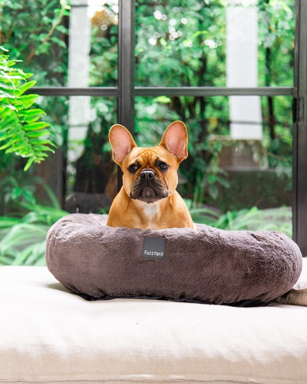 Dreameazzzy Truffle - Cama antiestrés para perros - vista 2