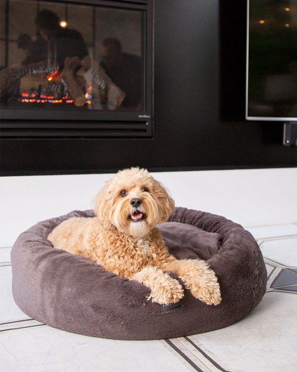 Dreameazzzy Truffle - Cama antiestrés para perros - vista 3