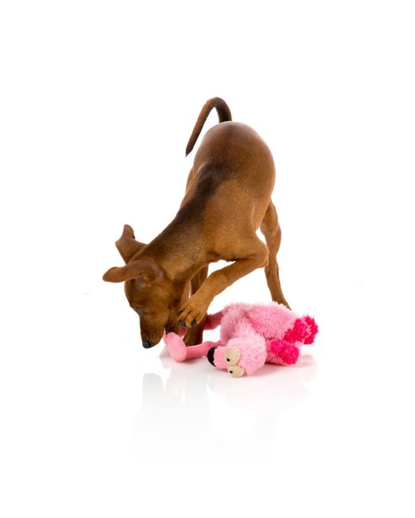 Flo The Flamingo- Juguete para perros - vista 3