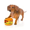 Hamburguer - Juguete para perros - vista 3