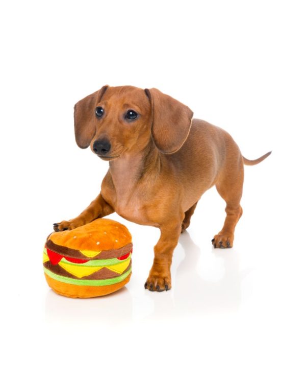 Hamburguer - Juguete para perros - vista 3
