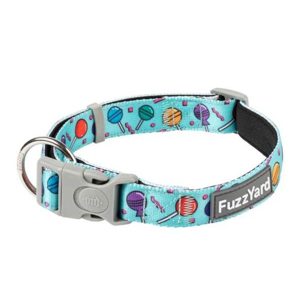 Hey Suckers - Collar para perros Hey Suckers - Collar para perros