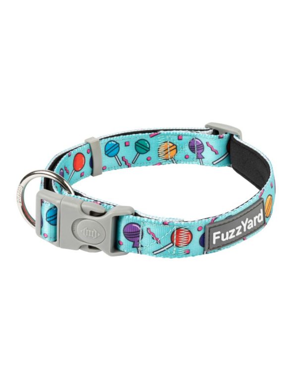 Hey Suckers - Collar para perros