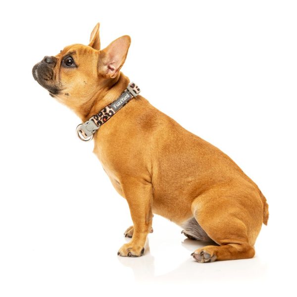Javan - Collar para perros Javan - Collar para perros - vista 2