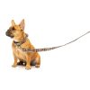 Javan - Correa para perros Javan - Correa para perros - vista 2
