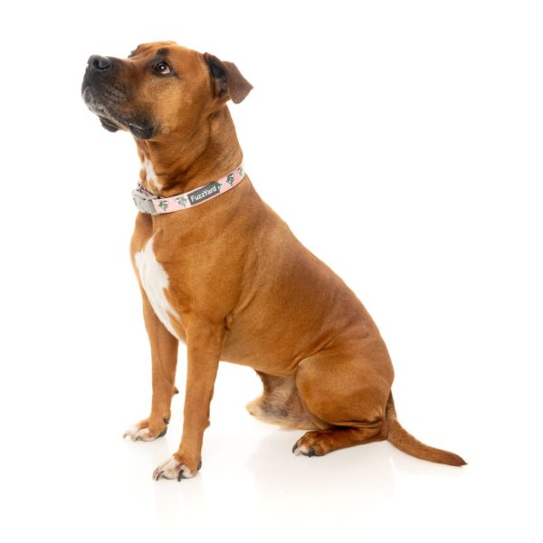 LL Cool Jaw$ - Collar para perros LL Cool Jaw$ - Collar para perros - vista 2