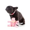 Scratchette The Flea Pink - Juguete para perros - vista 3
