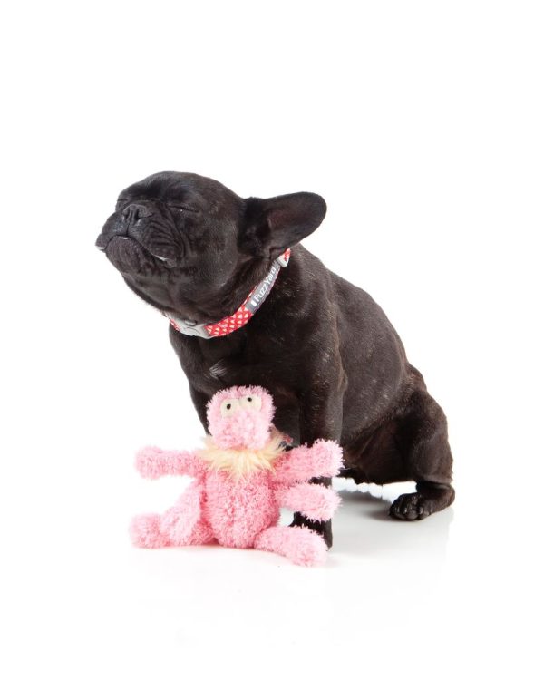 Scratchette The Flea Pink - Juguete para perros - vista 3