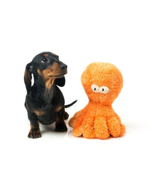 Sir Legs A Lot The Octopus - Juguete para perros - vista 3