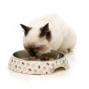 Sushi Delight - Comedero para gatos - vista 3