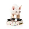 Sushi Delight - Comedero para gatos - vista 2