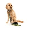 Biggie Smiles - Collar para perros - vista 2