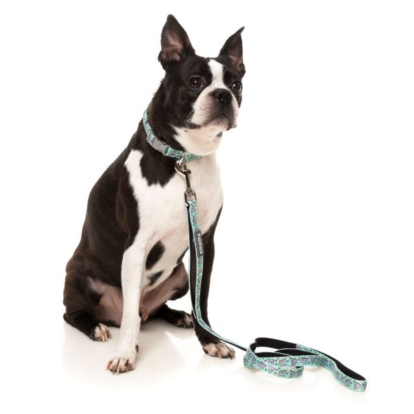 Dreamtime Koalas - Collar para perros - vista 3