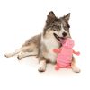 Flutter The Bed Bug - Juguete para perros - vista 2