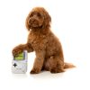 Game Dog - Juguete para perros - vista 2