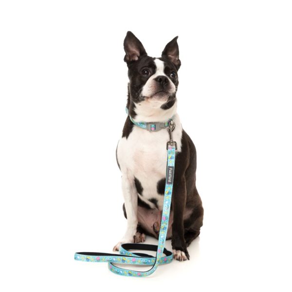 Wakey Wakey - Collar para perros Wakey Wakey - Collar para perros - vista 2