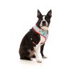 You Drive Me Glazy - Arnés petral para perros - vista 3
