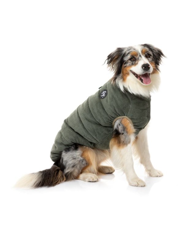 Chaqueta de pana para perros - Mosman Puffer - vista 2