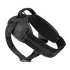 Blackout - Arnés FLASH para perros Blackout - Arnés FLASH para perros - vista 3