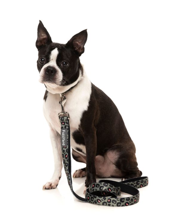Savanna - Collar para perros - vista 2