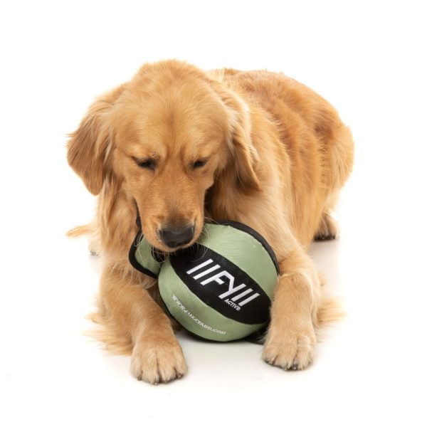 Pelota con asas FY Active - Juguete para perros - vista 3