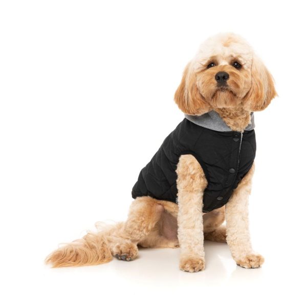 Cremorne Hoodie Black - vista 3