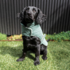 Myrtle Green - Chaqueta de algodón acolchado Fuzzyard Life Myrtle Green - Chaqueta de algodón acolchado Fuzzyard Life - vista 3