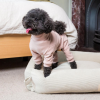 Soft Blush - Pijama FuzzYard Life - vista 3