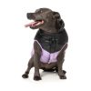 South Harlem Jacket Lilac South Harlem Jacket Lilac - vista 3