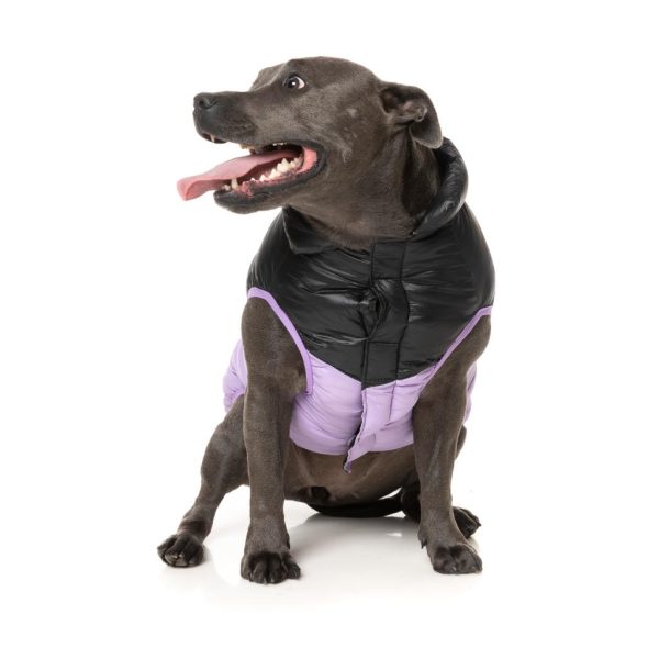 South Harlem Jacket Lilac South Harlem Jacket Lilac - vista 3