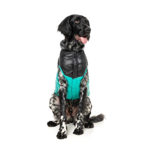 South Harlem Jacket Teal South Harlem Jacket Teal - vista 3