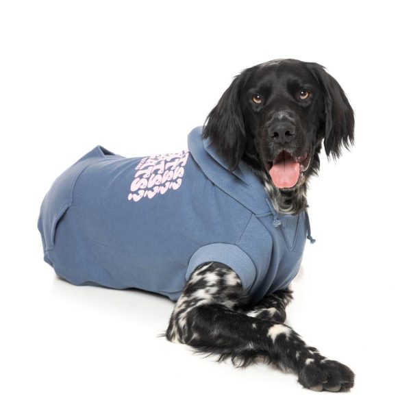 Treats Hoodie Blue - vista 3