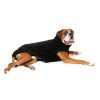 Turtle Teddy Black Turtle Teddy Black - vista 3
