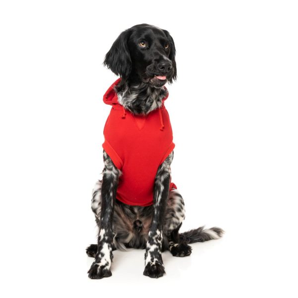 Zoomies Hoodie Red - vista 3