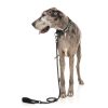 Black - Correa para perros de cuerda FY Active - vista 3