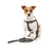 Black - Correa para perros FY Active - vista 2