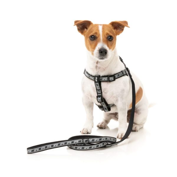 Black - Correa para perros FY Active - vista 2