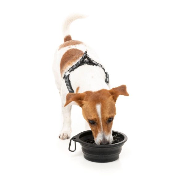 Comedero de silicona plegable FY Active - Comedero para perros Comedero de silicona plegable FY Active - Comedero para perros - vista 2